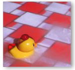 eyln_frojection